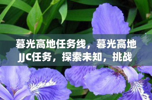 暮光高地JJC任务图片