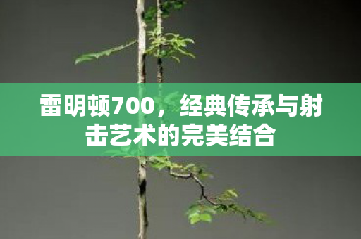 经典传承与射击艺术的完美结合图片