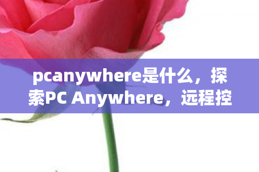 pcanywhere是什么图片