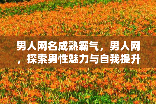 男人网名成熟霸气，男人网，探索男性魅力与自我提升的新天地