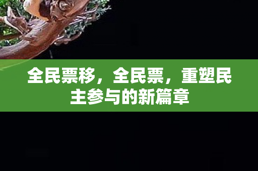 重塑民主参与的新篇章图片