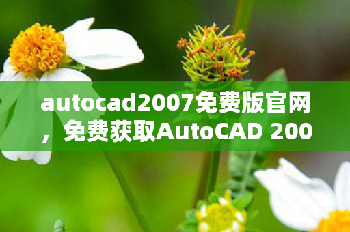 autocad2007免费版官网，免费获取AutoCAD 2007，探索合法途径与注意事项