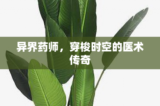 穿梭时空的医术传奇图片