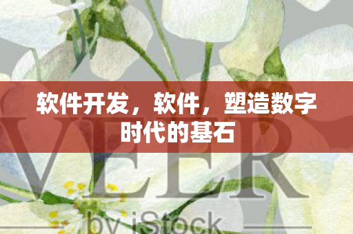 软件开发，软件，塑造数字时代的基石