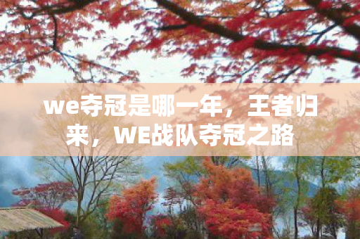 we夺冠是哪一年图片