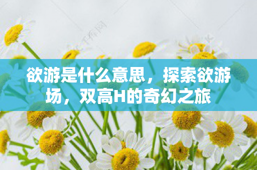 双高H的奇幻之旅图片