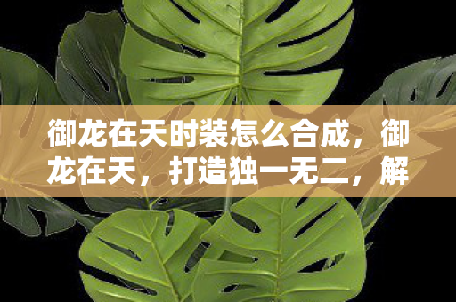 御龙在天时装怎么合成图片