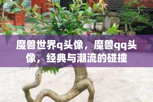 经典与潮流的碰撞图片