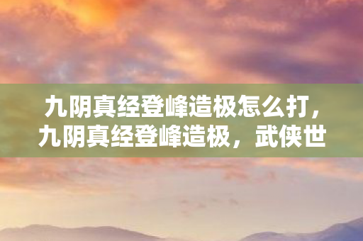 九阴真经登峰造极怎么打图片