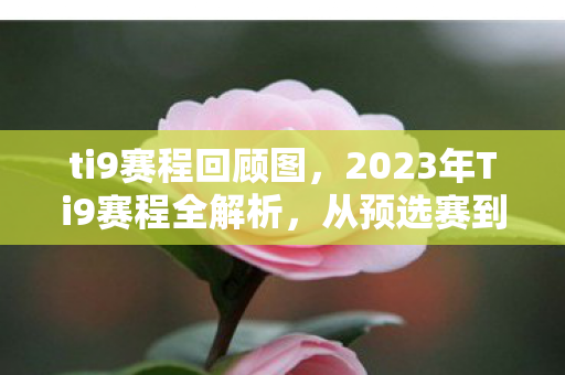 2023年Ti9赛程全解析图片