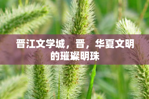 晋江文学城，晋，华夏文明的璀璨明珠