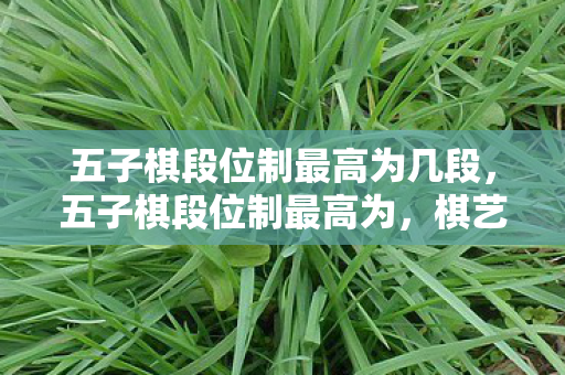 五子棋段位制最高为几段，五子棋段位制最高为，棋艺巅峰的荣耀象征