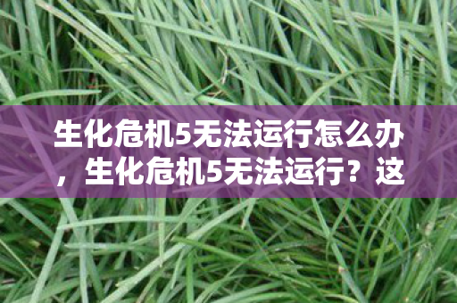 生化危机5无法运行怎么办，生化危机5无法运行？这里有解决方案！