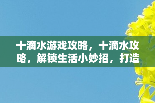 十滴水游戏攻略，十滴水攻略，解锁生活小妙招，打造健康舒适生活