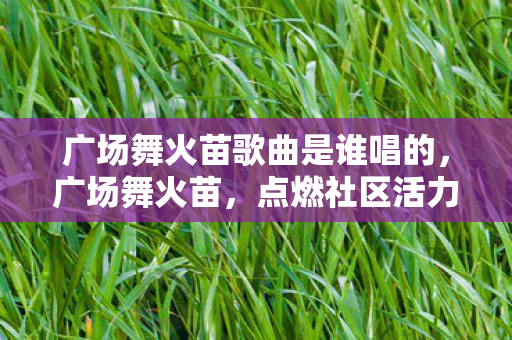 广场舞火苗歌曲是谁唱的，广场舞火苗，点燃社区活力的音乐盛宴