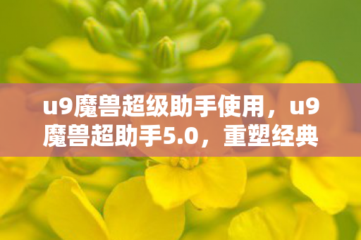 u9魔兽超级助手使用，u9魔兽超助手5.0，重塑经典，引领魔兽新风尚