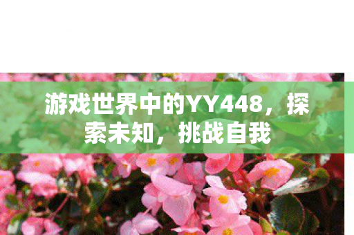 游戏世界中的YY448，探索未知，挑战自我