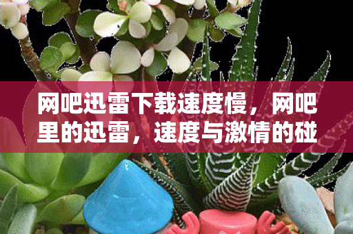 网吧迅雷下载速度慢，网吧里的迅雷，速度与激情的碰撞