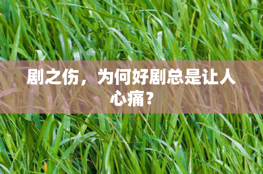 为何好剧总是让人心痛图片