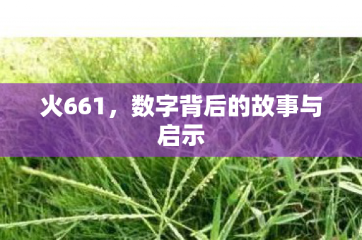 数字背后的故事与启示图片