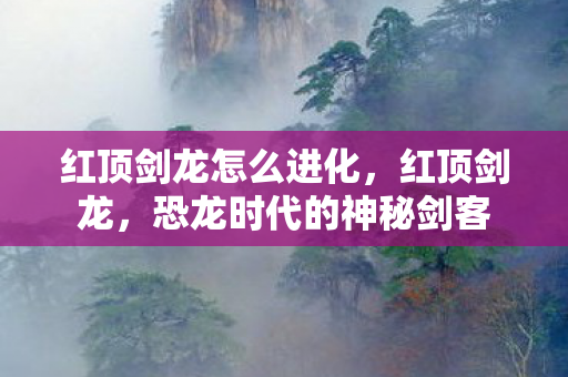 恐龙时代的神秘剑客图片