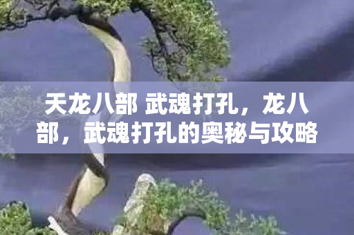 武魂打孔的奥秘与攻略图片