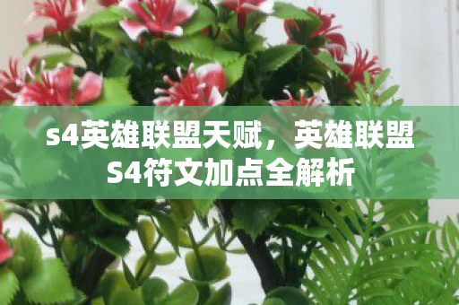 英雄联盟S4符文加点全解析图片