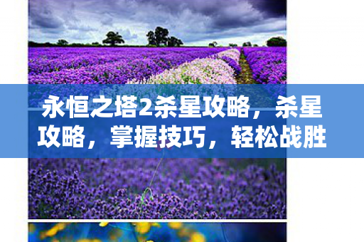 永恒之塔2杀星攻略，杀星攻略，掌握技巧，轻松战胜挑战