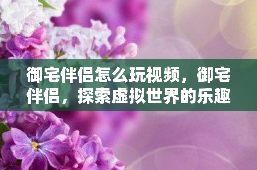 御宅伴侣怎么玩视频图片