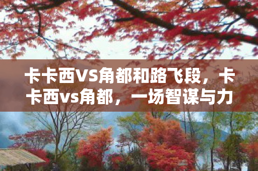 卡卡西VS角都和路飞段图片