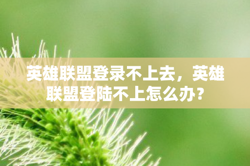 英雄联盟登陆不上怎么办图片