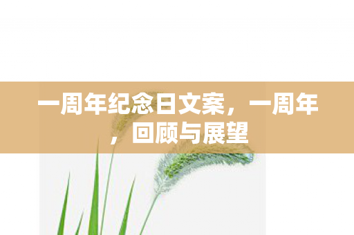 一周年纪念日文案图片