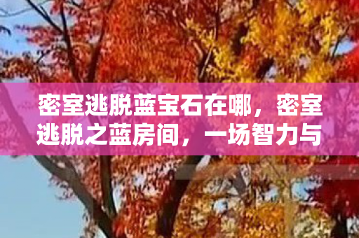 一场智力与耐心的较量图片