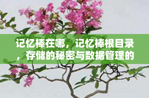 存储的秘密与数据管理的艺术图片