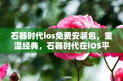石器时代在iOS平台上的回忆与体验图片