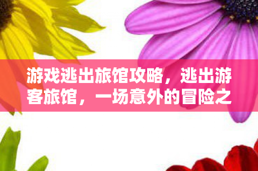 一场意外的冒险之旅图片