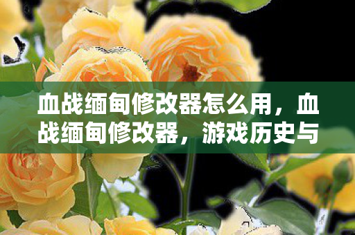 游戏历史与修改器的交织图片