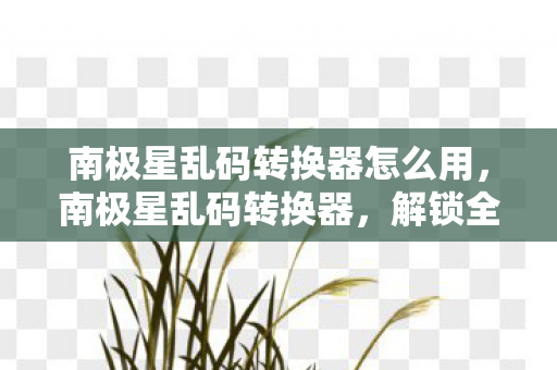 南极星乱码转换器怎么用图片