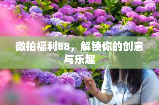 解锁你的创意与乐趣图片