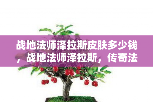 战地法师泽拉斯皮肤多少钱图片