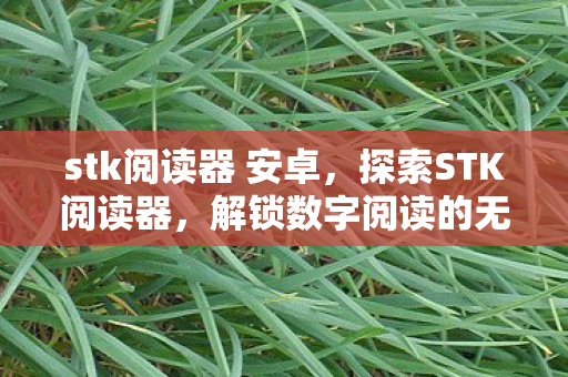 解锁数字阅读的无限可能图片