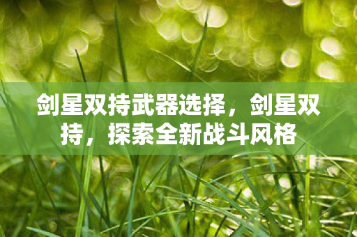 剑星双持武器选择，剑星双持，探索全新战斗风格
