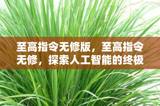 至高指令无修版，至高指令无修，探索人工智能的终极边界