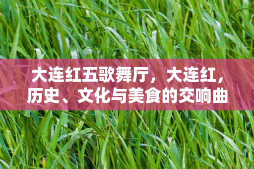 文化与美食的交响曲图片