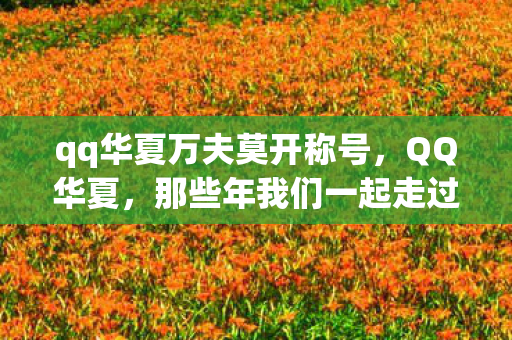 那些年我们一起走过的江湖图片