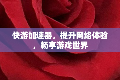 提升网络体验图片