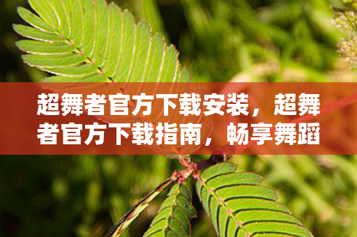 超舞者官方下载安装图片