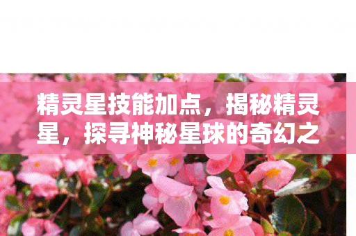 精灵星技能加点，揭秘精灵星，探寻神秘星球的奇幻之旅