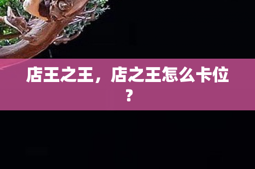 店之王怎么卡位图片