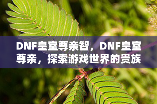 探索游戏世界的贵族之旅图片